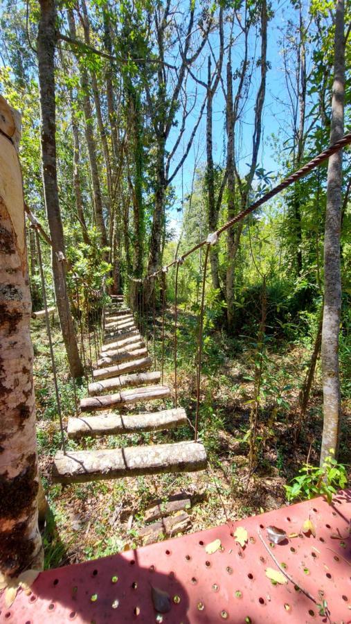 Hotel Lodge Las Cascadas Puerto Clocker Екстер'єр фото