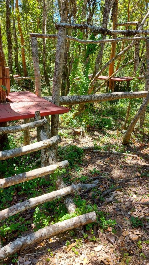 Hotel Lodge Las Cascadas Puerto Clocker Екстер'єр фото
